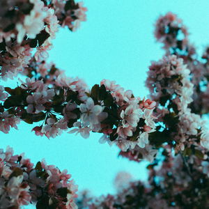 抖音网红露点走光在线
